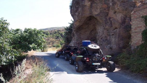 Buggy Buggy Tours