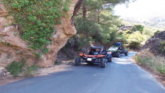 Buggy Buggy Tours