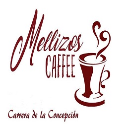 logo Los Mellizos