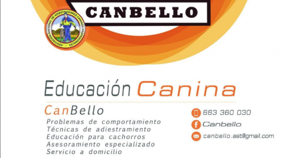 canbello adiestramiento canino