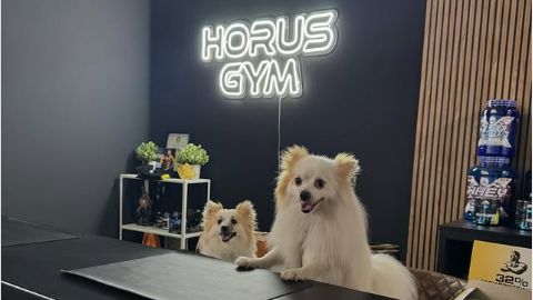 Horus Gym Almuñécar