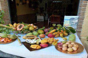 Finca San Ramón