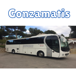 logo Gonzamatis