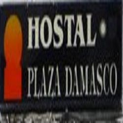 logo Hotel Plaza Damasco 1*