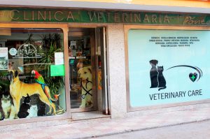 Clínica Veterinaria Pontes