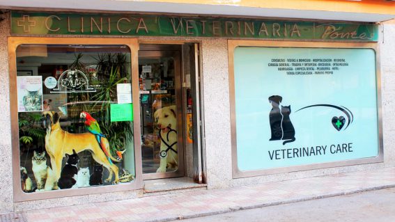 Clínica Veterinaria Pontes