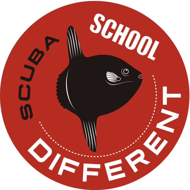 logo Different Scuba School