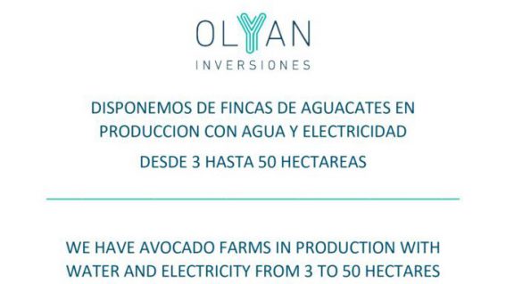 Olyan Inversiones