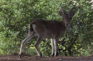 Paraje Natural Acantilados Maro-Cerro Gordo