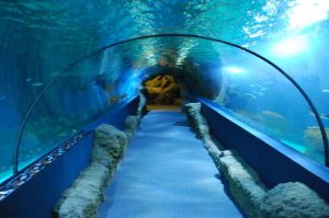 Acuario de Almuñécar