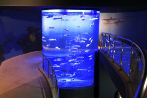 Acuario de Almuñécar