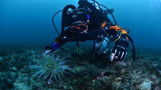 Different Scuba School