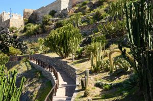 Parque Ornitológico «Loro Sexi»