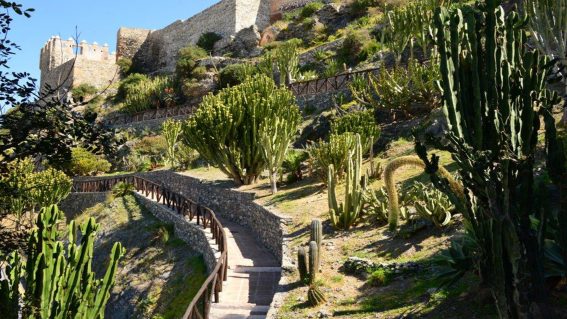 Parque Ornitológico «Loro Sexi»