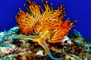 Cuevas de Cantarriján