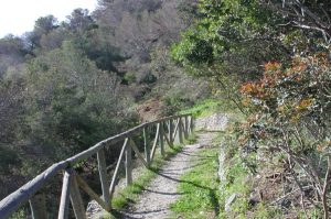 Torre de Cerro Gordo