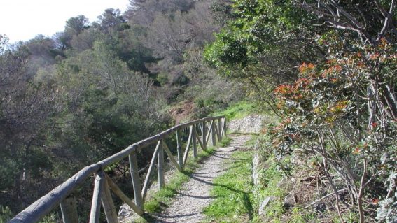 Paraje Natural Acantilados Maro-Cerro Gordo