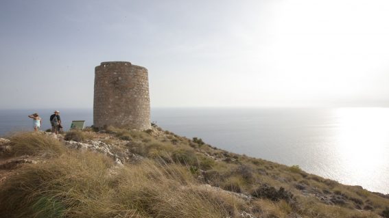 Torre de Cerro Gordo
