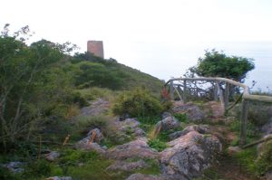 Paraje Natural Acantilados Maro-Cerro Gordo