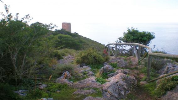 Torre de Cerro Gordo