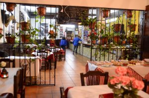 Bodega Francisco I