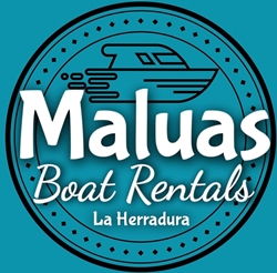 logo Maluas