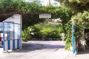 Camping Cerro Gordo
