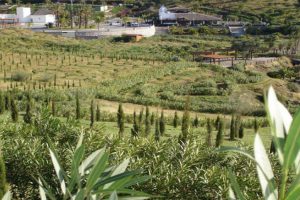 parquemediterraneo