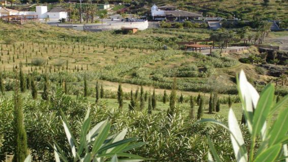 Parque del Mediterráneo