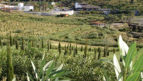 Parque del Mediterráneo