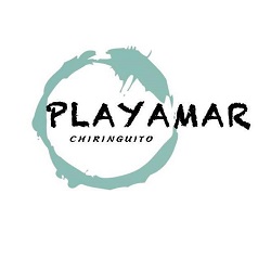 logo Playamar