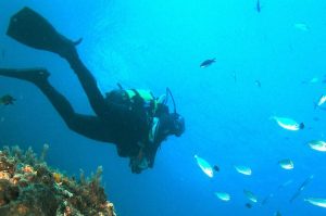 Almuñécar Dive Center