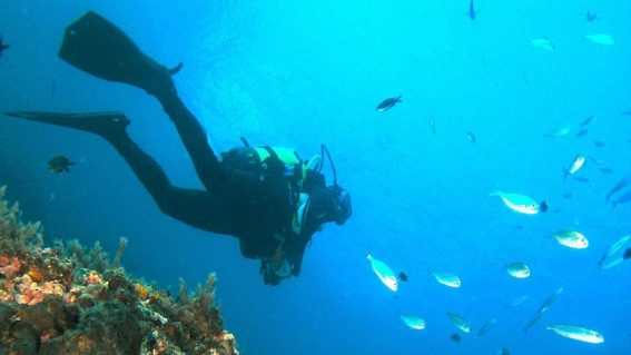 Almuñécar Dive Center