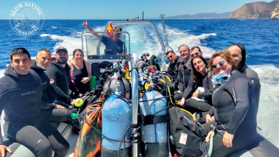 Slow Diving La Herradura